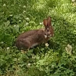 Meet your Posher, Patrick